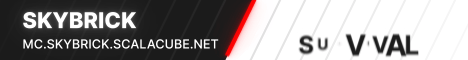 SkyBrick Minecraft server banner