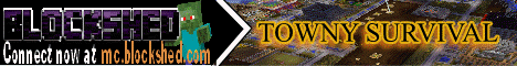 The BlockShed Minecraft Minecraft server banner