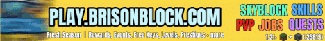 Brison Block Minecraft server banner