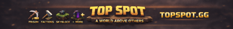 TOP SPOT Minecraft server banner