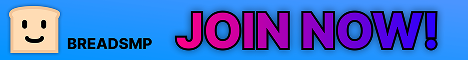 Breadsmp Minecraft server banner
