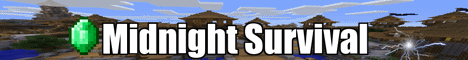 TheSkypeShowTown SKyBlockz Minecraft server banner