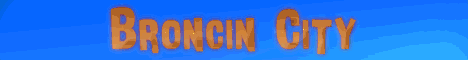 Broncin Minecraft server banner