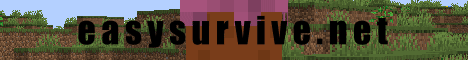 easysurvive.net Minecraft server banner
